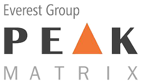 Everest Group - Peak Matrix