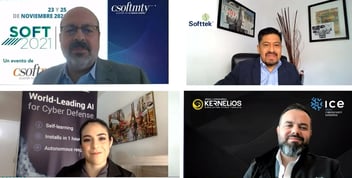 Virtual panel of cybersecurity experts 