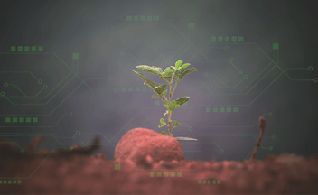 Rizobacter imagem case DINO