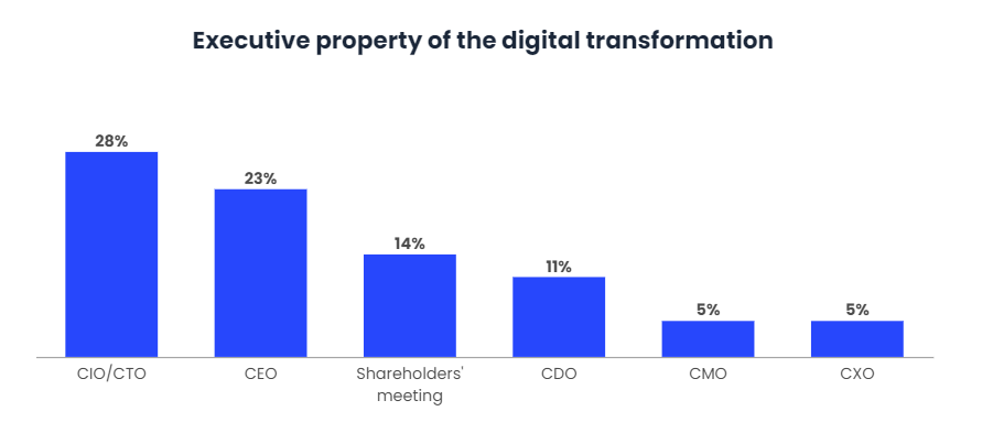 The 28% of the CIOs are responsible for Digital Transformation-3